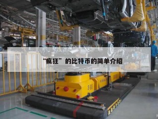 “疯狂”的比特币的简单介绍