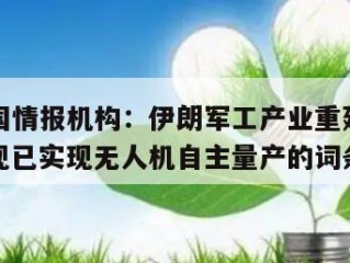 包含美国情报机构：伊朗军工产业重建速度超预期，现已实现无人机自主量产的词条